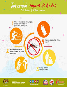 Aedes - Tips Mencegah Nyamuk Aedes